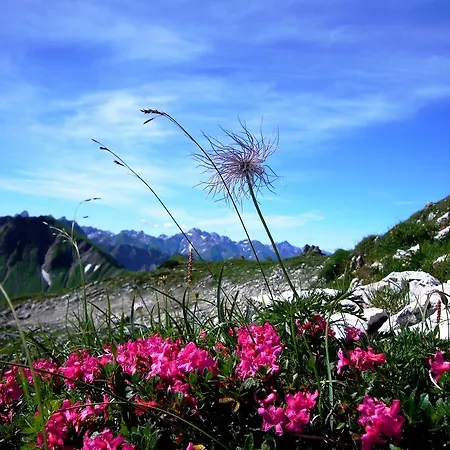 Διαμέρισμα Alpenflair Whg 201 