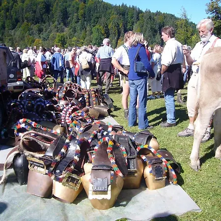 Διαμέρισμα Alpenflair Whg 201 